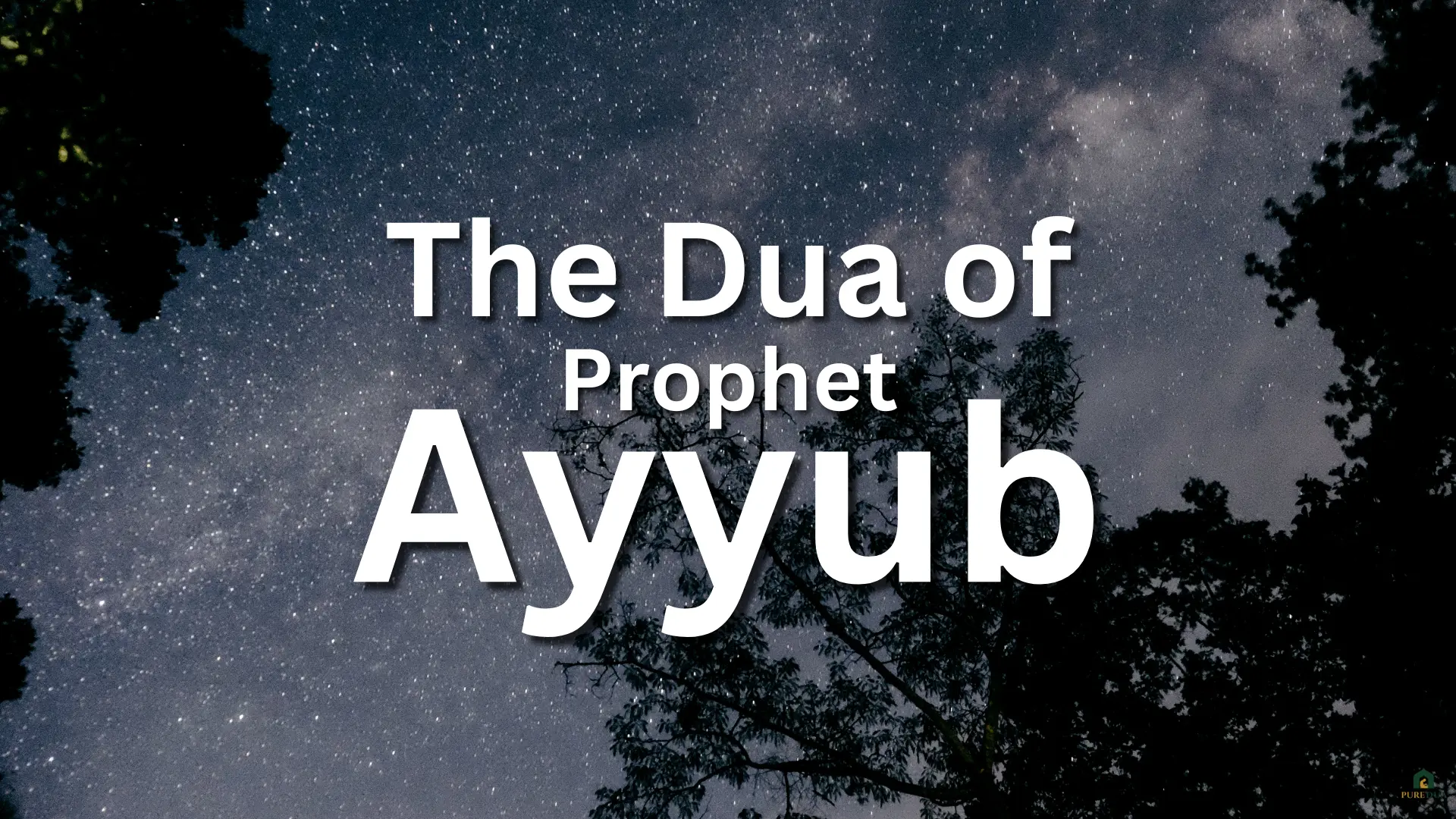 Dua of Prophet Ayyub