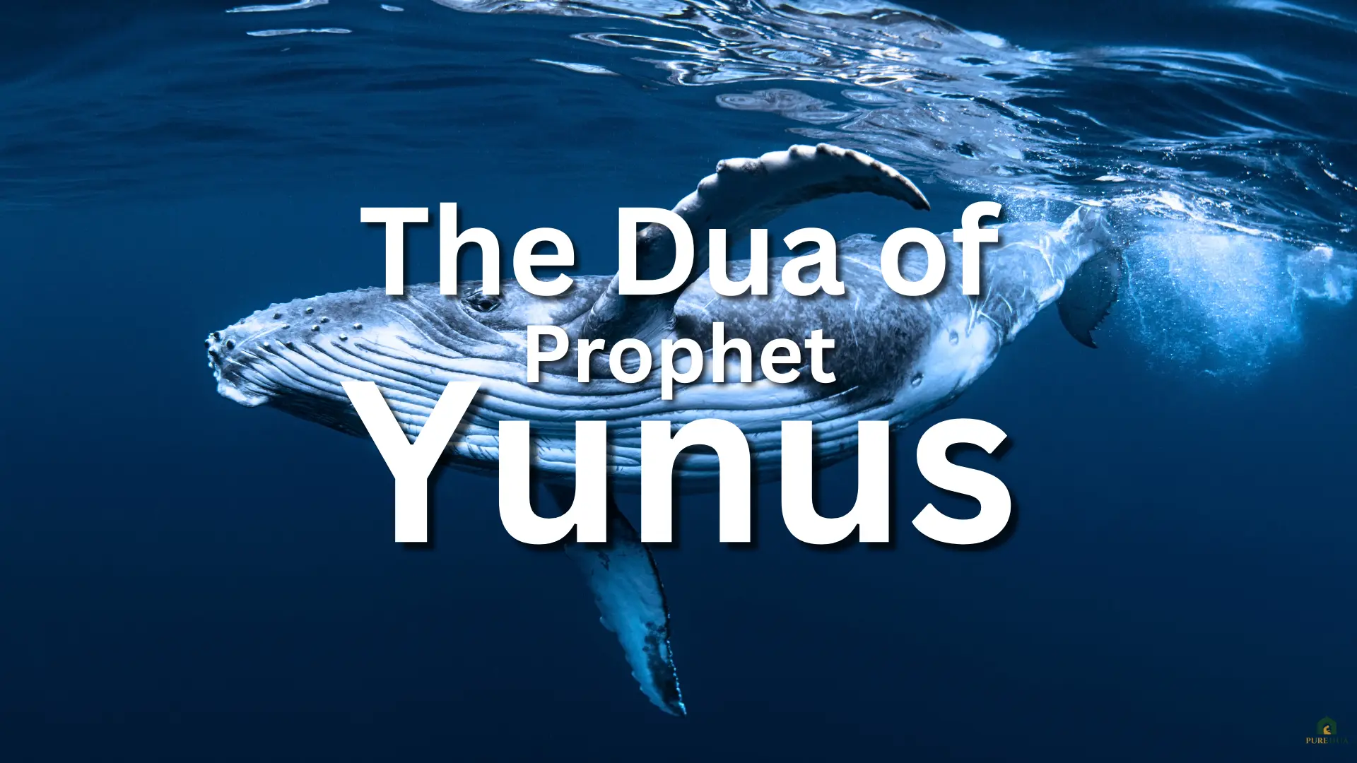 Dua of Prophet Yunus