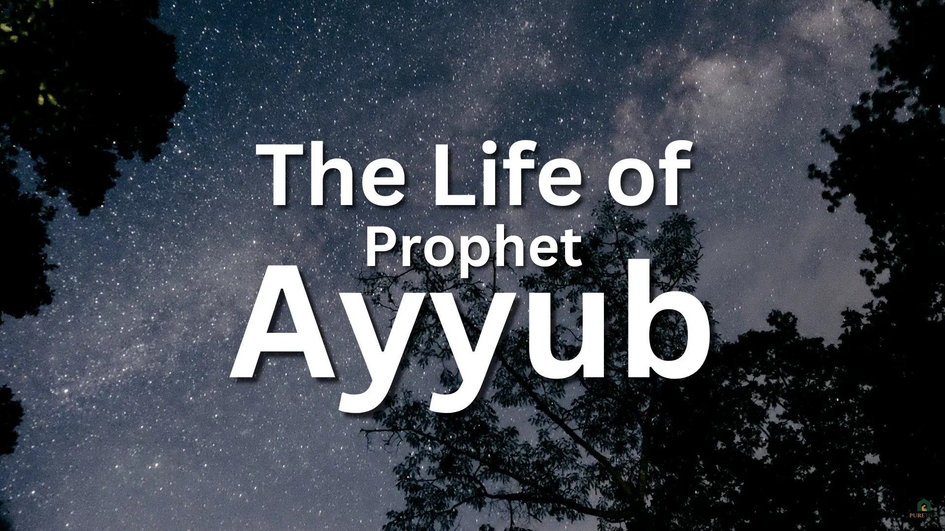 Life of Prophet Ayyub