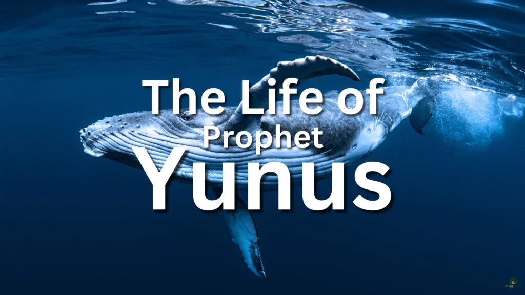 The life of Prophet Yunus